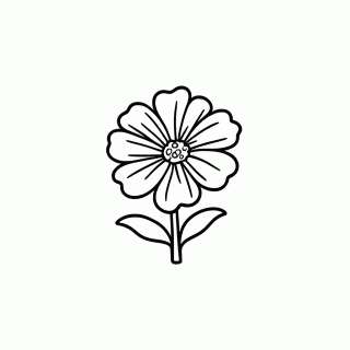 Marigold Flor Laranja para colorir