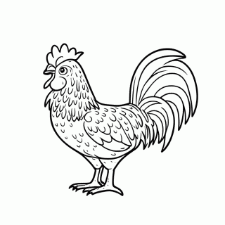 Galo Carijó para colorir