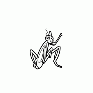 Louva Deus Mantis para colorir