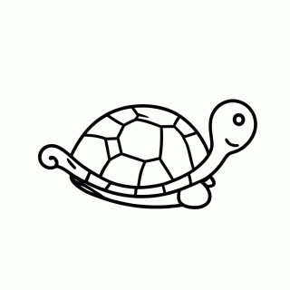 Squirtle para colorir