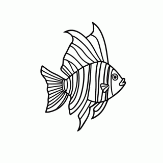 Gill para colorir