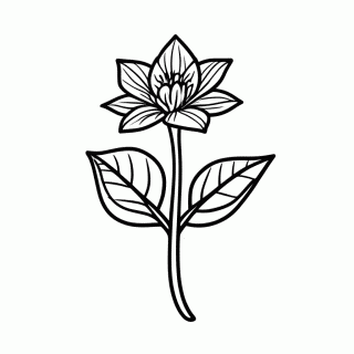 Flor de Copo De Leite — Flores do Brasil para Colorir