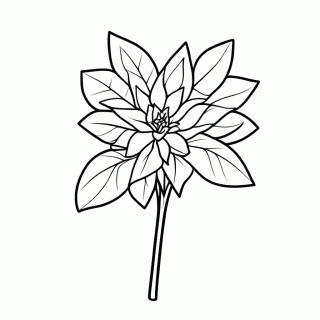 Flor De Acai para colorir