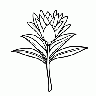 Flor De Bromelia Imperial para colorir