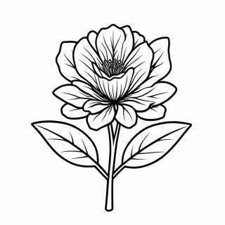 Flor De Cacau para colorir