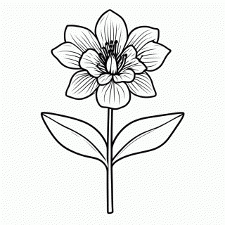Flor De Orquidea Amazonica — Flores do Brasil para Colorir