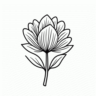 Flor Pata De Vaca para colorir