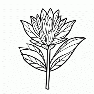 Flor de Ipe Amarelo Cerrado — Flores do Brasil para Colorir