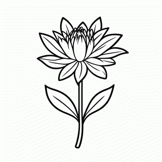 Jabuticabeira Em Flor para colorir