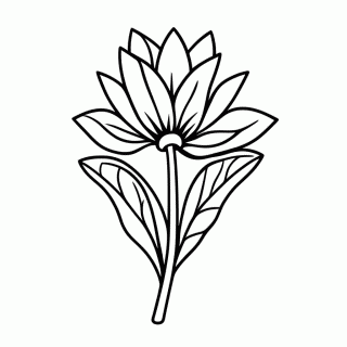 Flor de Rabo De Arara para colorir