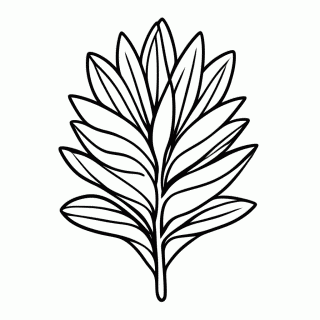Flor Bromelia Listrada para colorir