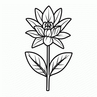 Flor Flor Cala para colorir