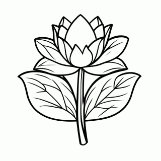 Flor Flor De Lotus Azul para colorir