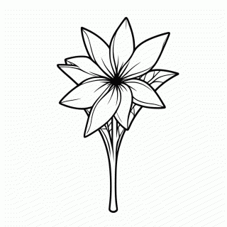 Flor Frangipani Plumeria para colorir