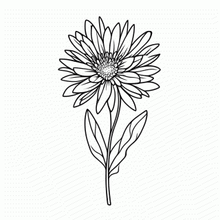 Flor Helicocnia para colorir