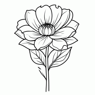 Flor Jasmim Do Himalaia para colorir
