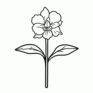 Flor Orquidea Cattleya para colorir