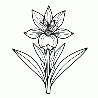 Flor Orquidea Dendrobium para colorir