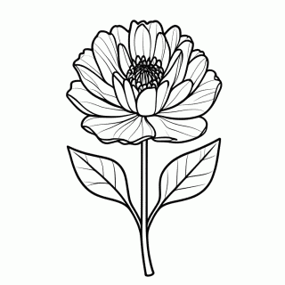Flor Peonia Japonesa — Flores Exóticas para Colorir