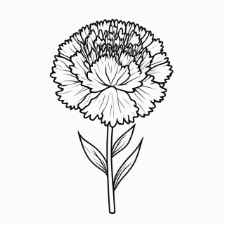 Flor Cravo para colorir