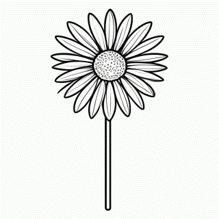 Flor Gerbera para colorir