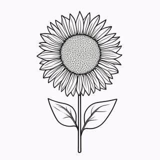 Flor Girassol para colorir