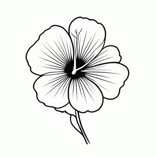 Flor Hibisco para colorir