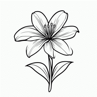 Flor Lirio para colorir