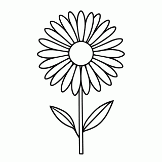 Flor Margarida para colorir