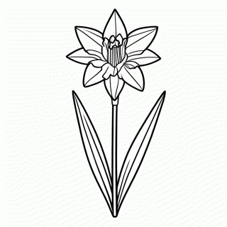 Flor Narciso para colorir