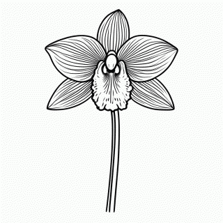 Flor Orquidea para colorir