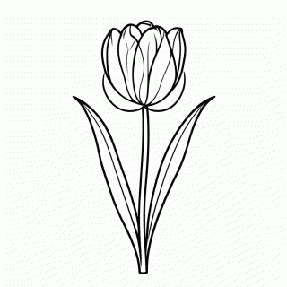 Flor Tulipa para colorir