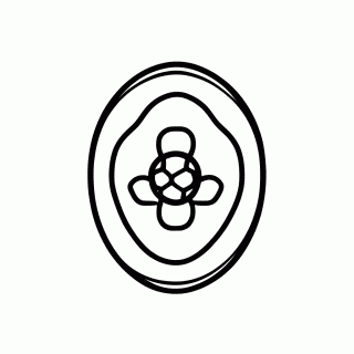 Escudo do Ceara Sc para colorir