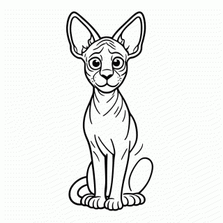 Sphynx Pelado para colorir