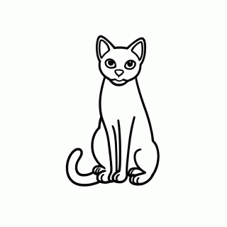 Gato Sphynx Pelado para colorir