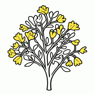 Flor Ipe Amarelo — Independência do Brasil (7 de Setembro) para Colorir