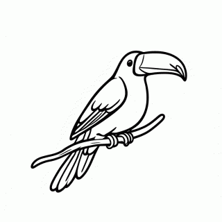 Tucano Do Brasil para colorir