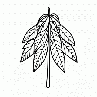 Urucum Jenipapo — Indigenas Brasileiros para Colorir