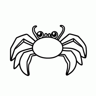 Aranha para colorir