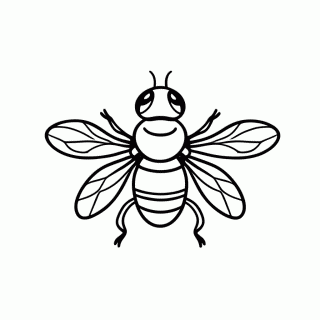 Mosca — Insetos para Colorir