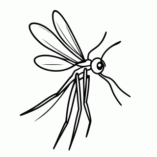 Mosquito para colorir