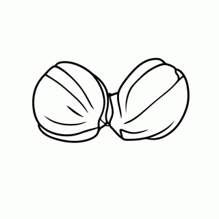Castanhola — Instrumentos Musicais