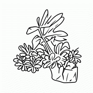 Jardinagem — Minhocario para colorir