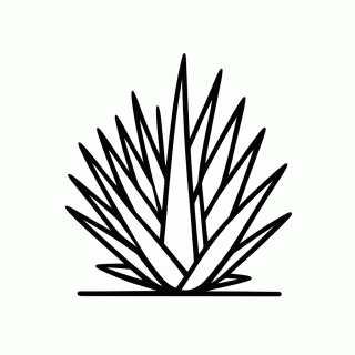 Spikeweed para colorir