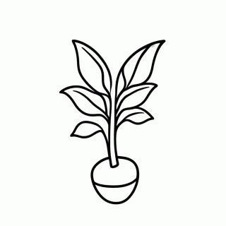 Planta Atira Ervilha para colorir