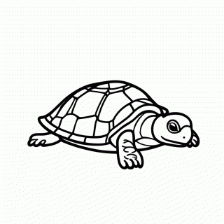 Tartaruga de Casco Espinhoso para colorir