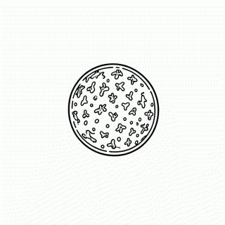Bola Com Glitter para colorir