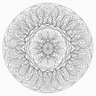 Mandala floral Profissional para colorir