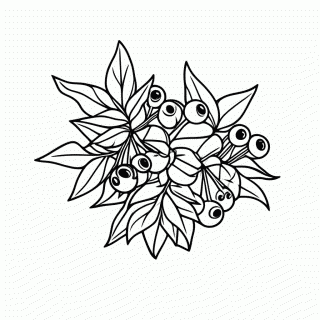 Lenda do Guaraná para colorir