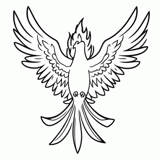 Fenix para colorir